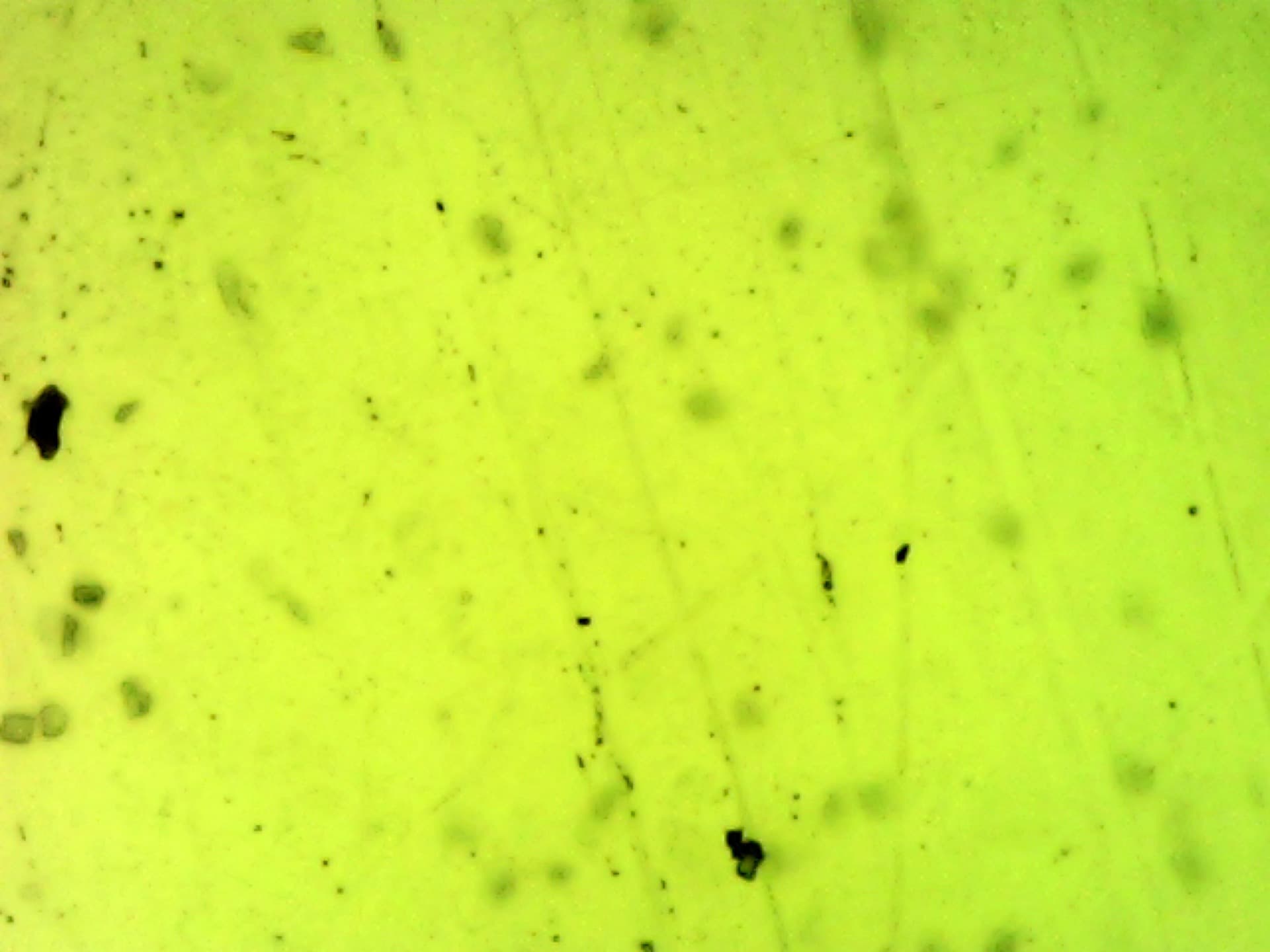 Microscopic Vision Restoration — plate 4
