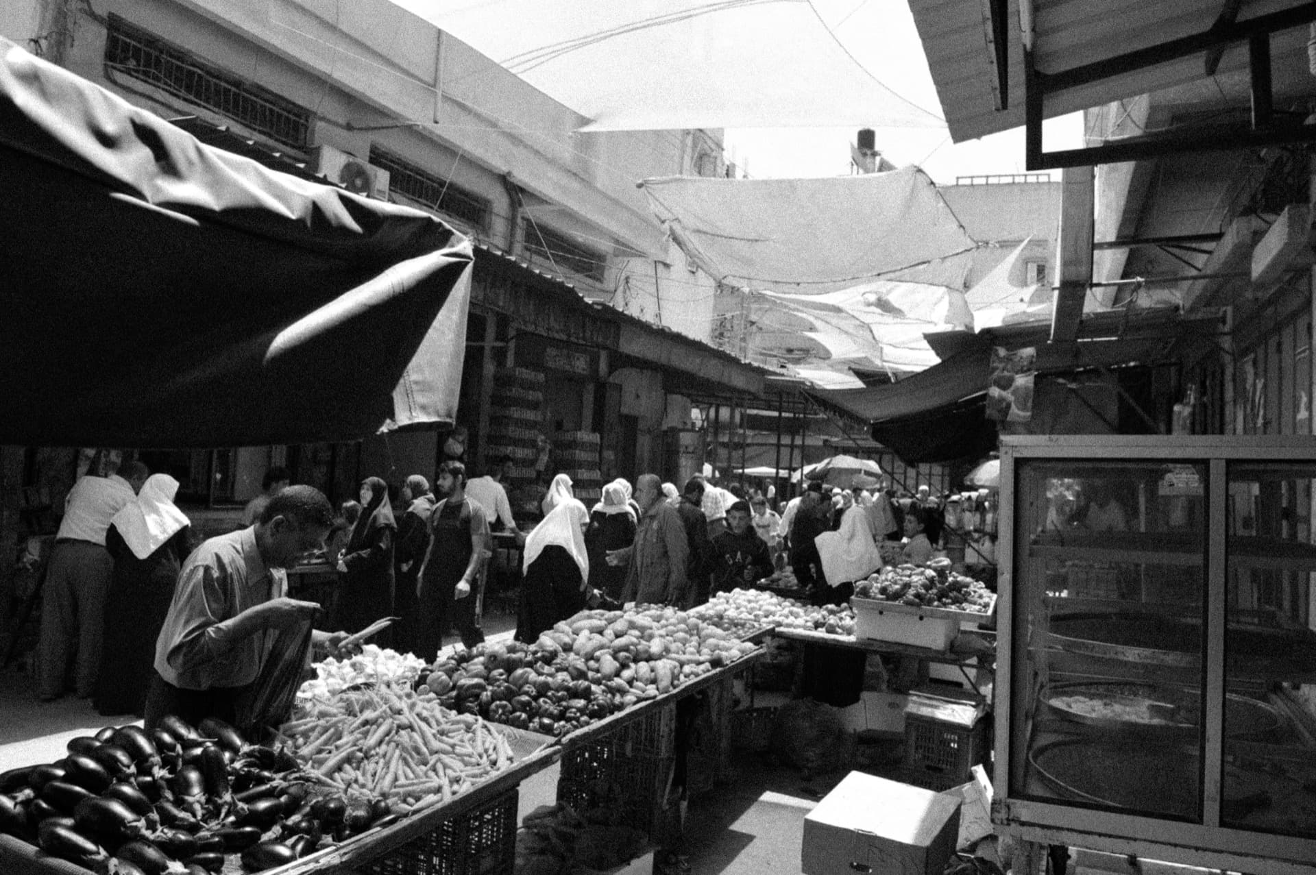 The Power of Photo — plate 16