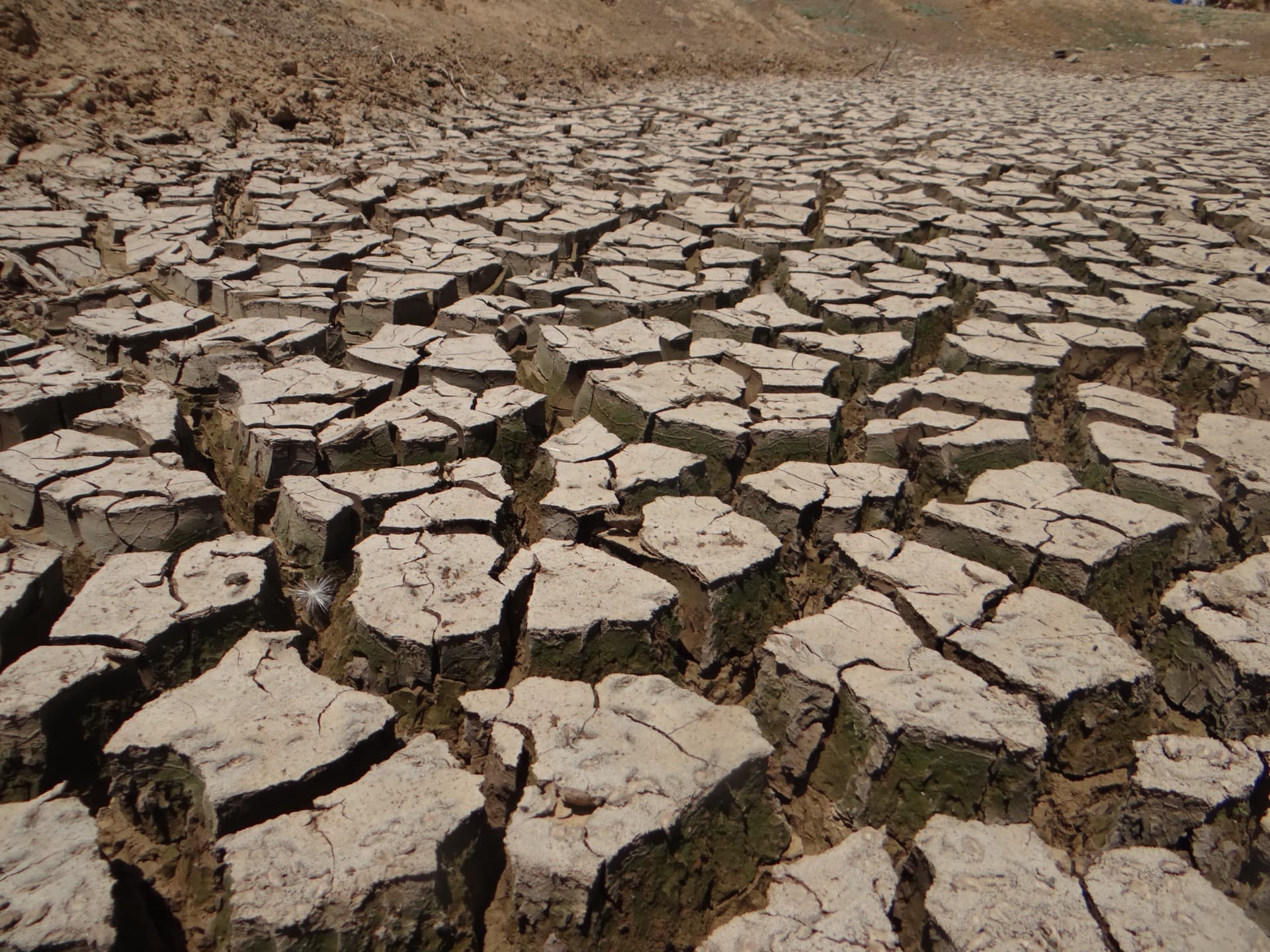 The Gaza Valley Path — plate 3
